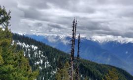 A view of the Olympic Mountains and forest with snow and cloud cover 