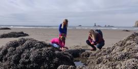 Three people look into a tidepool on an expansive sandy beach with the Pacific Ocean in the background as well as seastacks