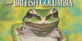 Book cover of Amphibians of Oregon, Washington and British Columbia