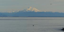 Snowcapped Mount Baker at 10,000 feet in the Cascade range as seen over the Salish Sea from the Dungeness