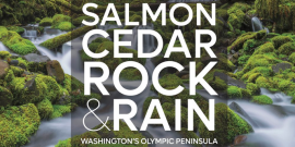 Cover of the book Salmon, Cedar, Rock and Rain: Washington's Olympic Peninsula
