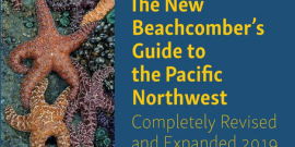 Book cover of The New Beachcomber's Guide to the Pacific Northwest by J. Duane Sept