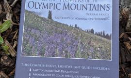 Book cover of Alpine Flowers of the Olympic Mountains by Douglas Houck and University of Washington Herbarium