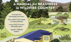 Book cover of Firescaping Your Home: A Manual for Readiness in Wildfire Country
