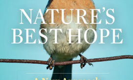 Book cover of Nature's Best Hope: A New Approach to Conservation That Starts in Your Yard, by Douglas Tallamy