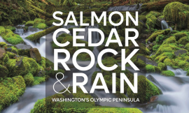 Cover of the book Salmon, Cedar, Rock and Rain: Washington's Olympic Peninsula