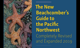 Book cover of The New Beachcomber's Guide to the Pacific Northwest by J. Duane Sept