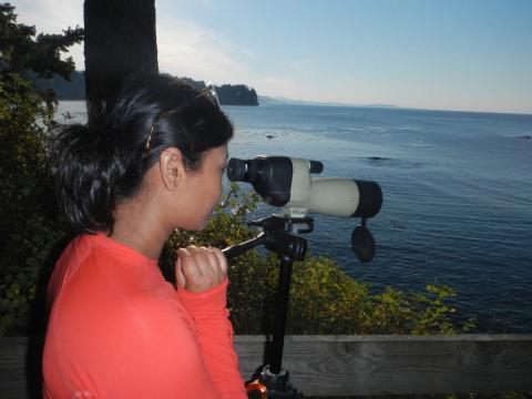 A birder looks through a spotting scope into the Salish Sea on a guided bird tour on the Olympic Peninsula