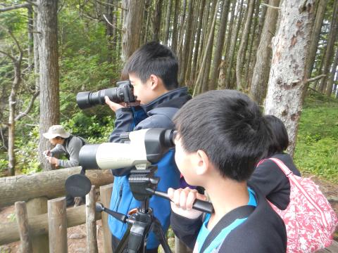 A family including young birders looks at birds from one of the Cape Flattery platforms towards the Pacific Ocean