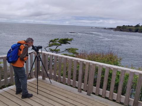 Hiker looking through a spotting scope on the final Cape Flattery trail platform looking towards Tatoosh Island