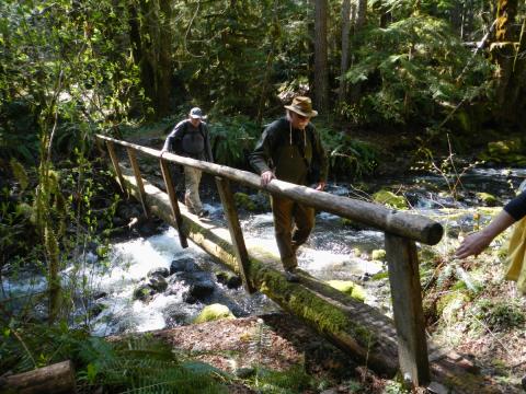 Two hikers cross a rustic etched log bridge with a single railing over a tributary of the Elwha River in Olympic National Park