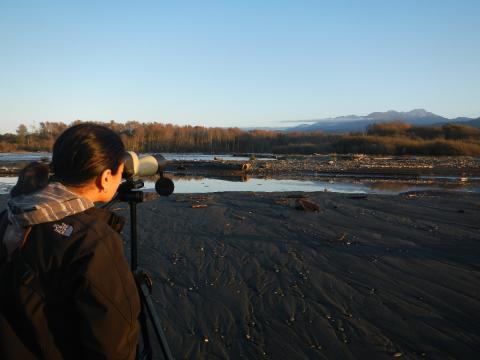 A women looks toward the mouth of the Elwha River and the mountains through a spotting scope in search of birds