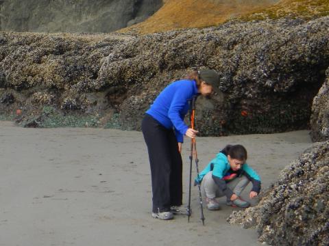 A mom and daughter look at a rock wall full of marine intertidal animals and seaweed during low tide from the sandy beach