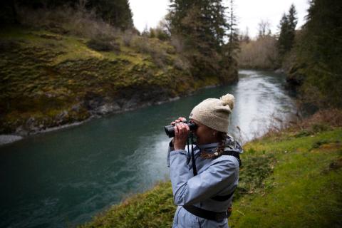 Wildlife Guide Carolyn looks through binoculars at the Elwha River in Olympic National Park 