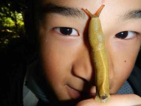 Extreme closeup of a tour participant's face with a yellow banana slug climbing up to his forehead