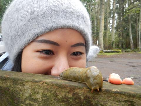 Close up of a woman looking at a Banana Slug that is on a wooden railing