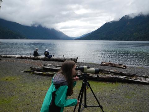 A young birder looks through a spotting scope at a duck on Lake Crescent as seen from in front of the Lake Crescent Lodge