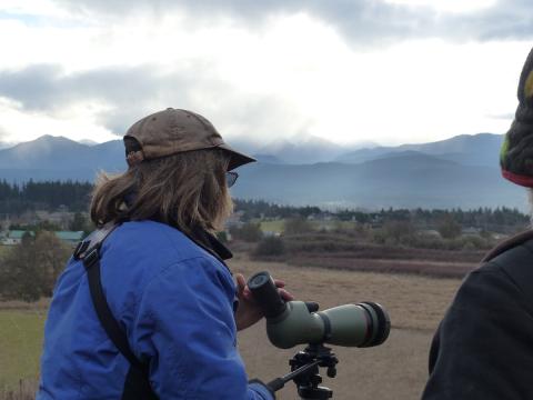 A birder with a spotting scope looks from a small ridge on the Dungenes Recreation Area and towards the Olympic Mountains