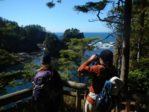 Two participants looking for wildlife from one of the platforms on the Cape Flattery trail that is maintained by the Makah people