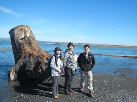 Tour participants stand next to a large stump with a springboard notch that moved from the former reservoir site once the overlying sediment was washed away