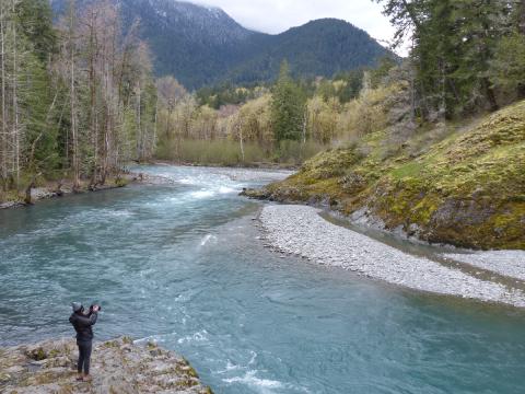 A person stands in a small Elwha River canyon as the river rushes by with a forested mountain in the background