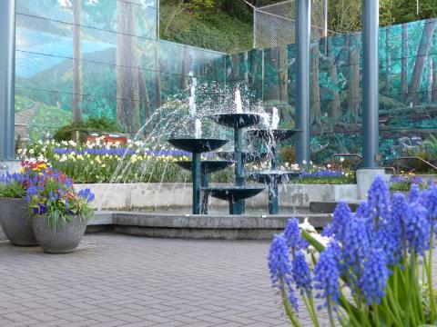 Fountain and mural and flowers in downtown Port Angeles Plaza on First Street