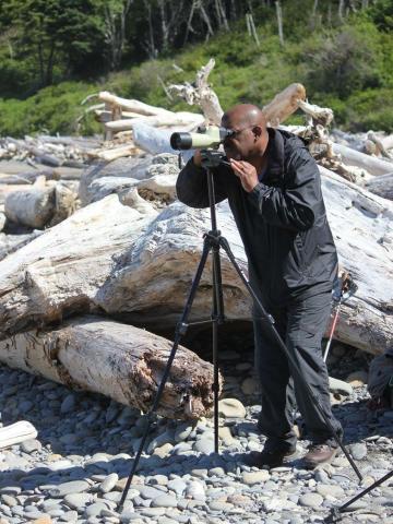 A participant looks through a spotting scope on an Olympic National Park beach with huge beach logs in the background