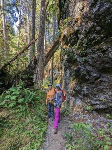 Two hikers are shown on the Little River trail which is a tributary of the Elwha River next to a rocky outcropping