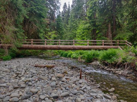 One of the many wooden bridges made form a tree trunk on the Lover's Lane trail in the Sol Duc Valley