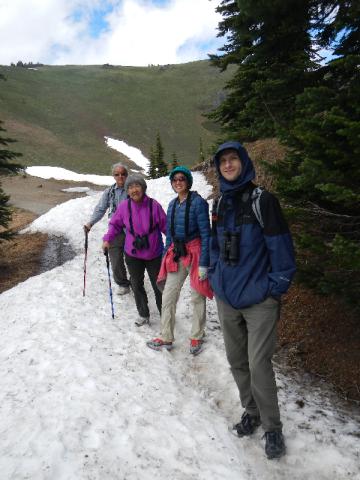 A guided hike on the snow drift in early spring on Hurricane Hill with four family members