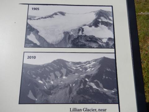 Interpretation sign that shows the Lillian Glacier in 1905 and then in 2010 when there are only a few snow patches left