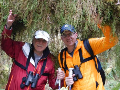 Two hikers with binoculars gently push aside the curtain moss in the Hoh Rainforest