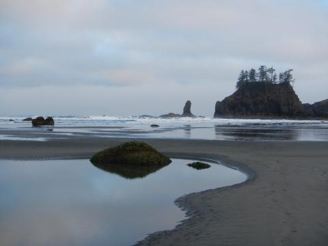 An Olympic National Park beach with pink clouds, an expansive sandy beach at low tide, and off shore islands