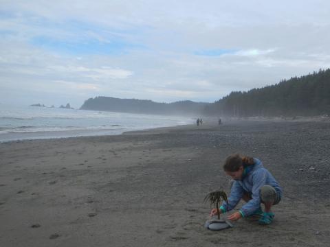 A young participants takes a moment to create some beach art on an expansive Olympic National Park beacha at low tide
