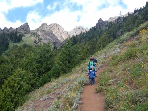 Three hikers include a small child hike down the steep Switchback Trail through wildflower-filled meadows