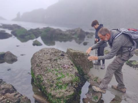 Photographing intertidal life on the side of a rock during low tide in a fog bank at the beach
