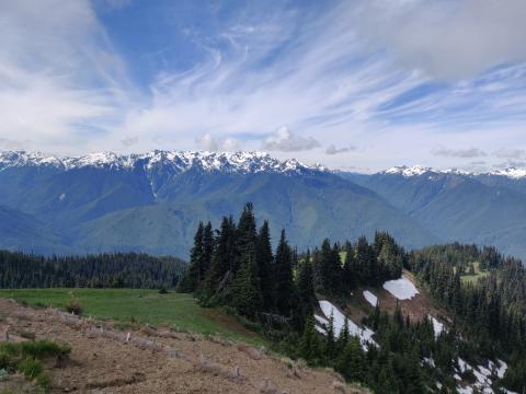 A view of Hurricane Ridge is show drifts and snowclad mountains