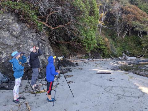 One adult and two young birds look through various optics at birds on the beach estuary at Salt Creek County Park on the Olympic Peninsula