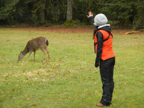 A tour participant wearing loaner binoculars waves to a grazing Columbian Black-tailed Deer near Lake Crescent