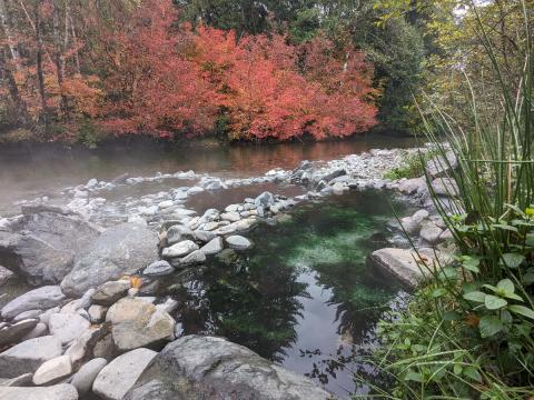 Natural hotsprings pools on the Sol Duc River adjacent to the Sol Duc hotspirngs resort